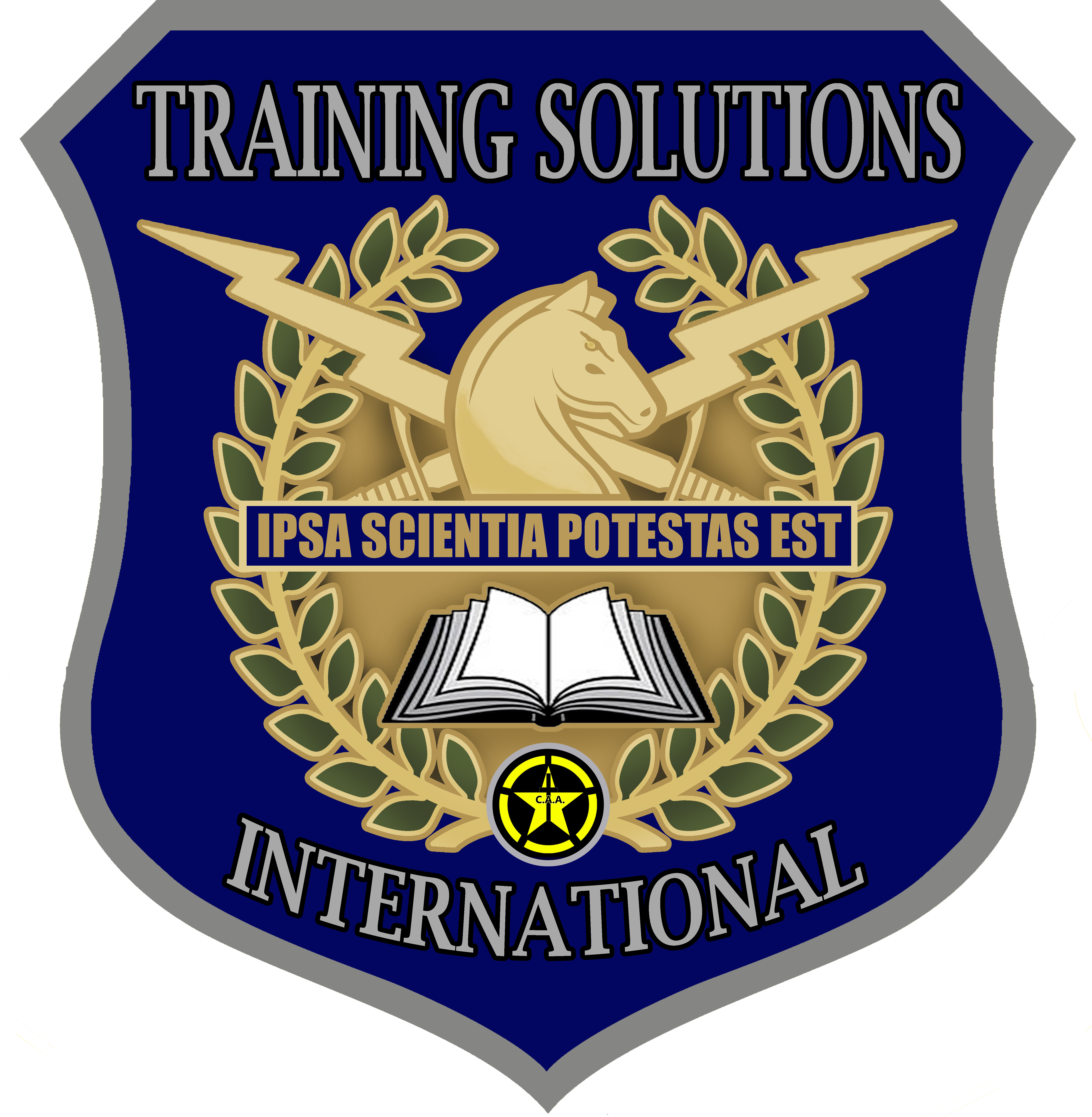 Training Solutions International company logo.